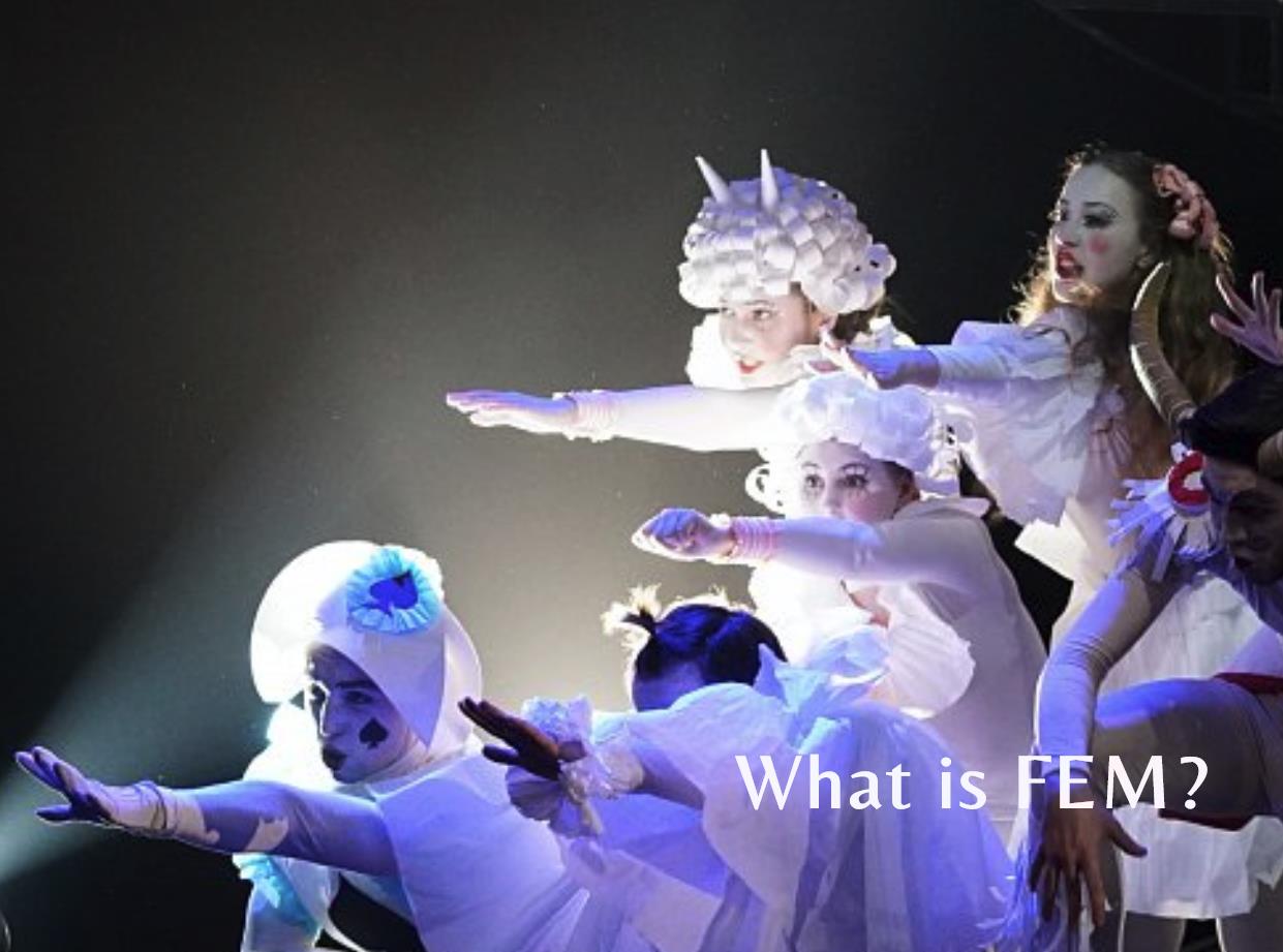 FEM fem