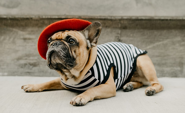mime-can